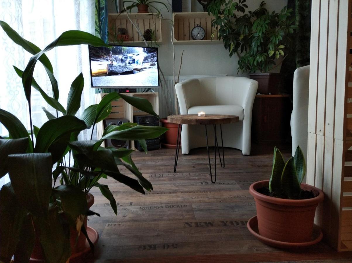 Апартаменты Apartman V Podkrovi Добрушка Экстерьер фото