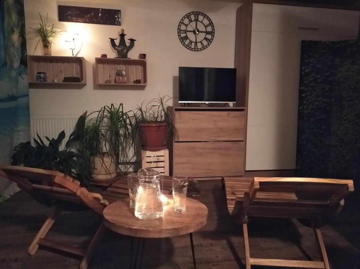 Апартаменты Apartman V Podkrovi Добрушка Экстерьер фото