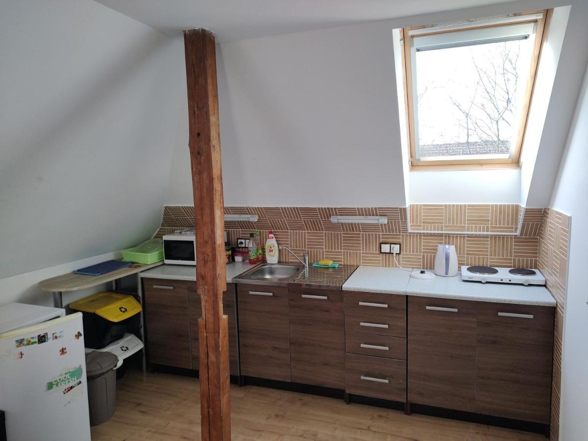 Апартаменты Apartman V Podkrovi Добрушка Экстерьер фото
